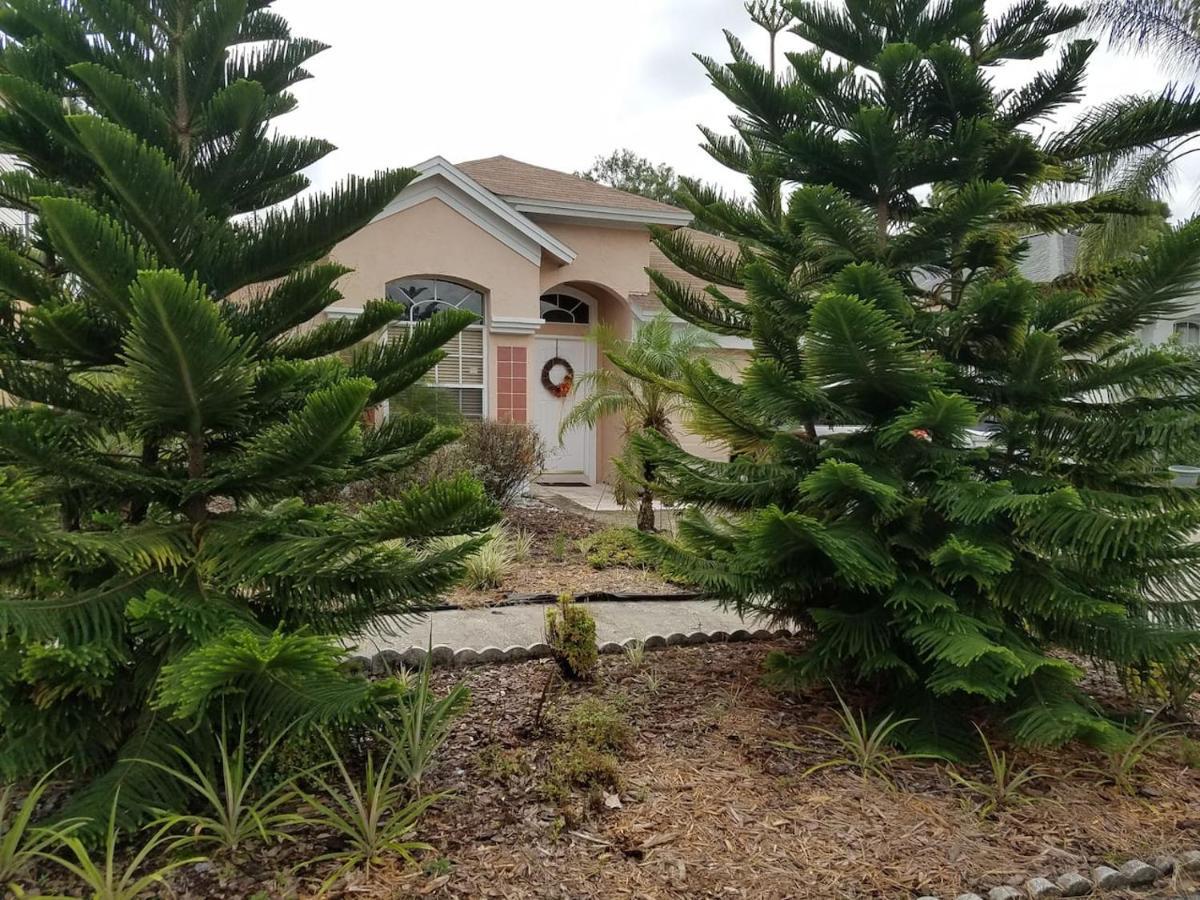 Cozy And Conveniently Located Pool Home With Free Wifi Tampa Kültér fotó